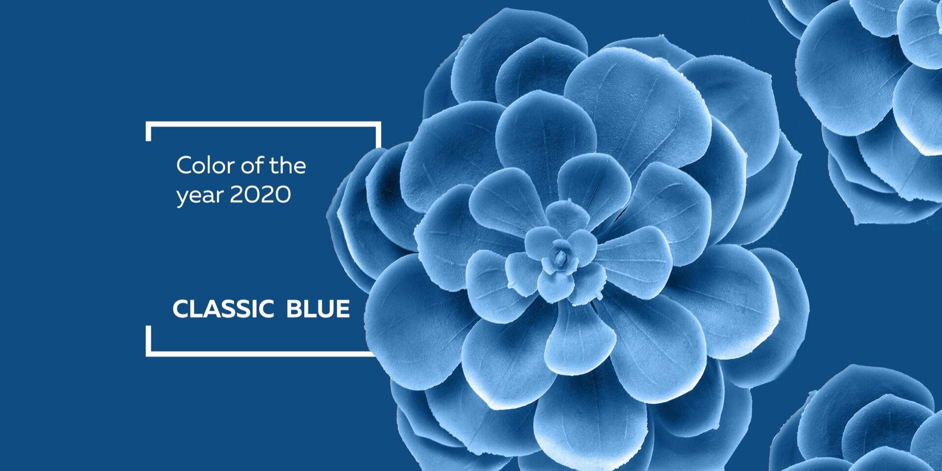 The color of the year 2020 – «CLASSIC BLUE»